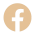 facebook_icon_transparente
